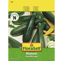 Zucchini 'Diamant' FloraSelf F1 Hybride Gemüsesamen-thumb-0