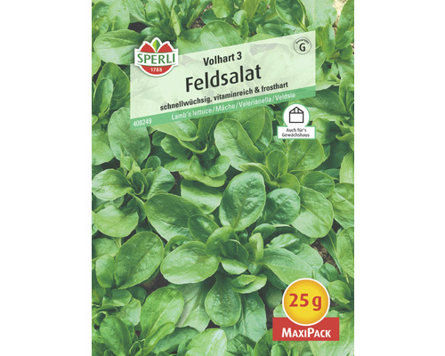 Feldsalat 'Volhart 3' Sperli Gemüsesamen
