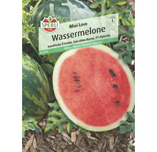 Wassermelone 'Mini Love' Sperli Gemüsesamen-thumb-0