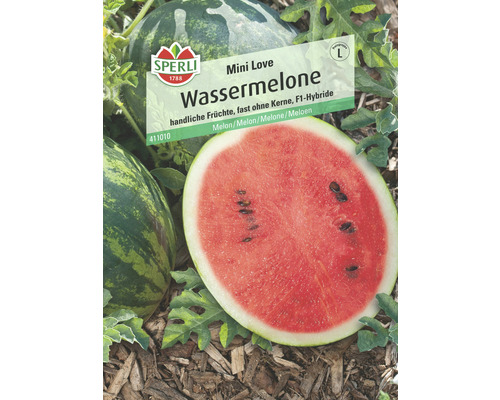 Wassermelone 'Mini Love' Sperli Gemüsesamen