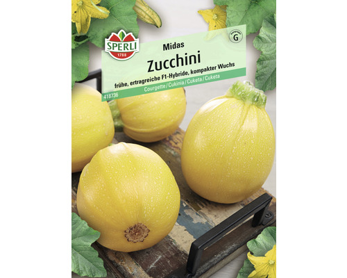 Zucchini 'Midas' Sperli Gemüsesamen