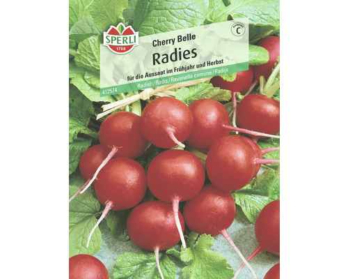 Radieschen 'Cherry Belle' Sperli Gemüsesamen