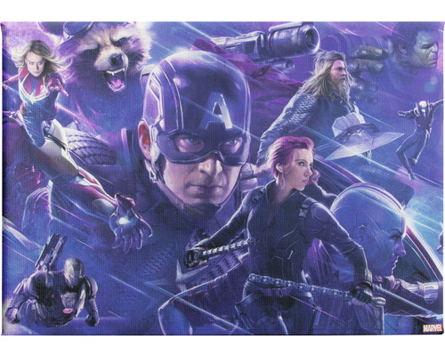 Leinwandbild Marvel Endgame Nr.4 50x70 cm