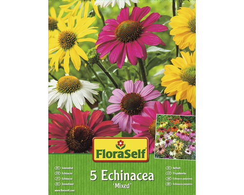 Echinacea Mischung FloraSelf Vorteilspackung 5 Stk-0