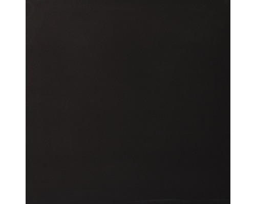 Feinsteinzeug Wand- und Bodenfliese Schwarz 60 x 60 cm