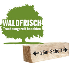 Kaminholz Brennholz HORNBACH FORST Buche, Eiche, Esche, Robinie lose 1 Schüttraummeter ca. 22-25 cm, waldfrisch-thumb-0