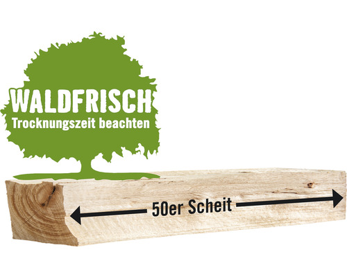 Kaminholz Brennholz Buche lose 1 Schüttraummeter 48-50 cm, waldfrisch