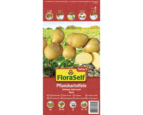 Pflanzkartoffeln 'Penni' FloraSelf Select vorwiegend festkochend 10 Stk.