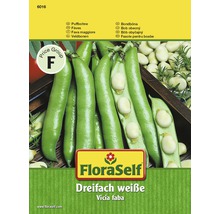 Puffbohne 'Dreifach weiße' FloraSelf samenfestes Saatgut Gemüsesamen-thumb-0