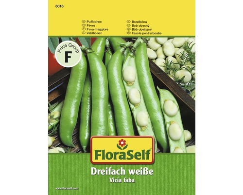 Puffbohne 'Dreifach weiße' FloraSelf samenfestes Saatgut Gemüsesamen-0