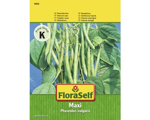 Buschbohne 'Maxi' FloraSelf samenfestes Saatgut Gemüsesamen