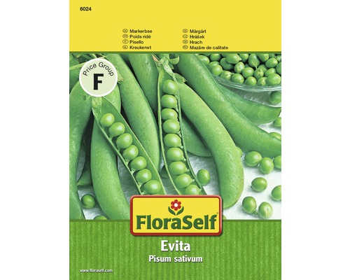 Markerbse 'Evita' FloraSelf samenfestes Saatgut Gemüsesamen-0