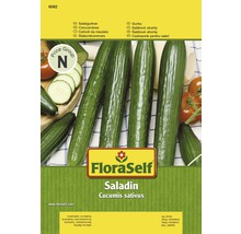 Salatgurke ' Saladin' FloraSelf F1 Hybride Gemüsesamen-thumb-0