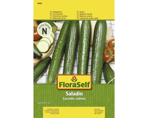 Salatgurke ' Saladin' FloraSelf F1 Hybride Gemüsesamen
