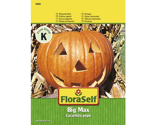 Kürbis 'Big Max' FloraSelf samenfestes Saatgut Gemüsesamen-0