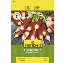 Radieschen 'Flamboyant 2' FloraSelf samenfestes Saatgut Gemüsesamen-thumb-0