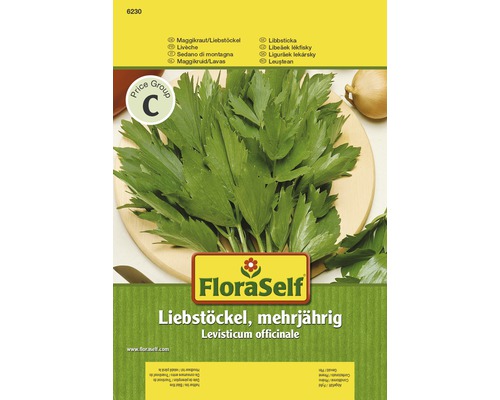 Liebstöckel, Maggikraut 'Mehrjährig' FloraSelf samenfestes Saatgut Kräutersamen-0