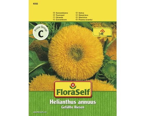 Sonnenblume 'Gefüllte Riesen' FloraSelf samenfestes Saatgut Blumensamen-0