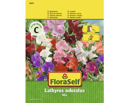 Edelwicke 'Mix' FloraSelf samenfestes Saatgut Blumensamen-0