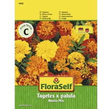 Tagetes 'Bonita Mix' FloraSelf samenfestes Saatgut Blumensamen-thumb-0