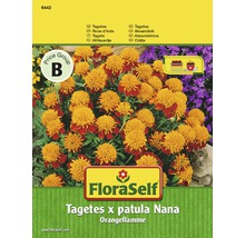 Tagetes 'Orangeflamme' FloraSelf samenfestes Saatgut Blumensamen-thumb-0