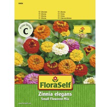 Zinnie 'Small Flowered Mix' FloraSelf samenfestes Saatgut Blumensamen-thumb-0