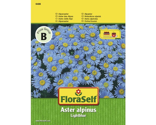 Alpenaster 'Lightblue' FloraSelf samenfestes Saatgut Blumensamen-0
