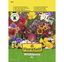 Blumenwiesensamen FloraSelf Amerikanische Landblumen Mix samenfestes Saatgut-thumb-0