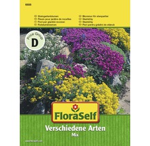Blumensamenmix FloraSelf für Steingärten samenfestes Saatgut-thumb-0