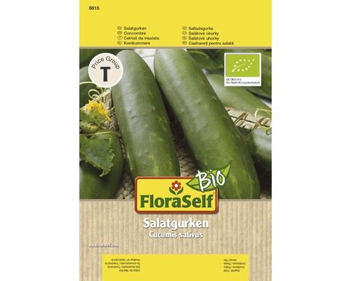 Bio Salatgurke FloraSelf Bio samenfestes Saatgut Gemüsesamen-0