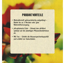 Blumenerde FloraSelf (48 Sack x 50 Liter = 2,4 m³)1 Palette-thumb-2