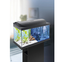 Aquarium Tetra Starter Line Minions 54 l inkl. LED-Beleuchtung, Heizer, Futter, Wasseraufbereiter, Rückwandfolie 61 x 31 x 30,8 cm-thumb-3