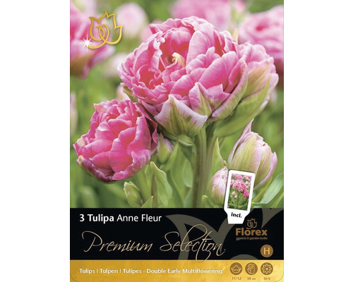 Blumenzwiebel Premium Selection Tulpe 'Anne-Fleur' 3 Stk-0