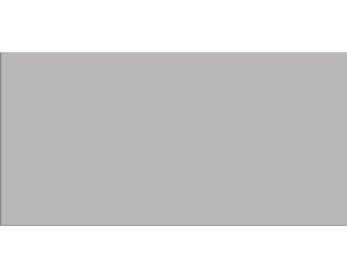 Steingut Metrofliese Trend 7,5 x 15 cm grau glänzend