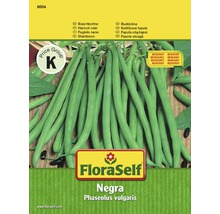 Buschbohne 'Negra' FloraSelf samenfestes Saatgut Gemüsesamen-thumb-0