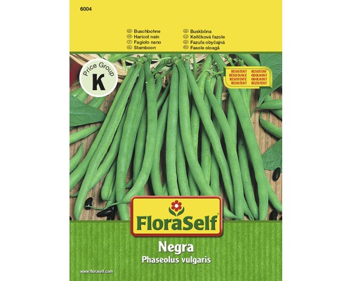 Buschbohne 'Negra' FloraSelf samenfestes Saatgut Gemüsesamen-0