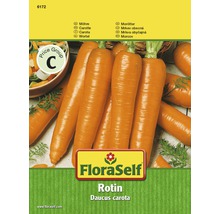 Möhre 'Rotin' FloraSelf samenfestes Saatgut Gemüsesamen-thumb-0