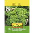 Petersilie 'Mooskrause 2 / Grandeur' FloraSelf Kräutersamen