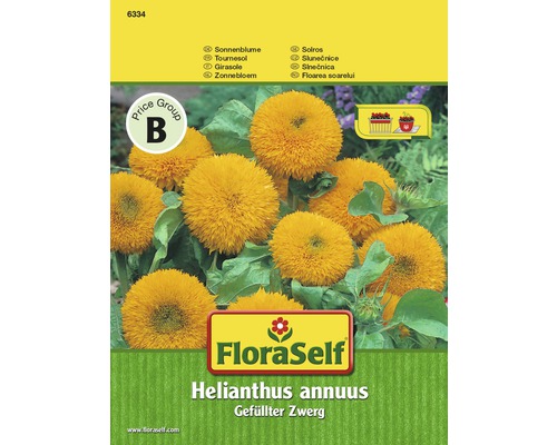 Sonnenblume 'Gefüllter Zwerg' FloraSelf samenfestes Saatgut Blumensamen-0