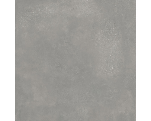 Feinsteinzeug Wand- und Bodenfliese Loftstone 120 x 120 x 1,05 cm grey