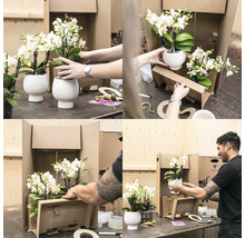 Geschenk-Set Romantic FloraSelf mit Orchidee, Sukkulenten und Dekoration-thumb-5