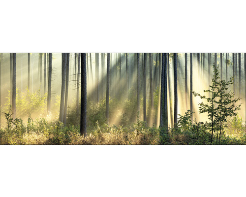 Leinwandbild In The Forest I 27x77 cm-0