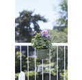 Blumentopf Pflanztopf mit Halterung elho allin1 Kunststoff 26 x 19,5 x 18,5 cm laubgrün