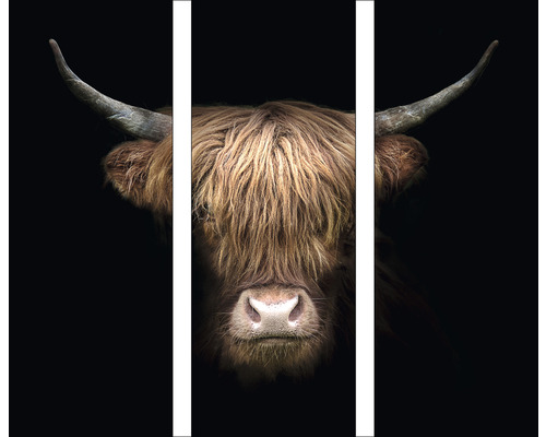 Glasbild Highland Cattle VIII 3er-Set 3x 30x80 cm
