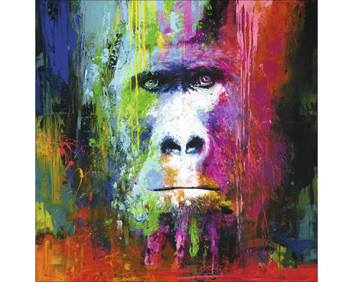 Leinwandbild Original Colourful Gorilla 90x90 cm-0