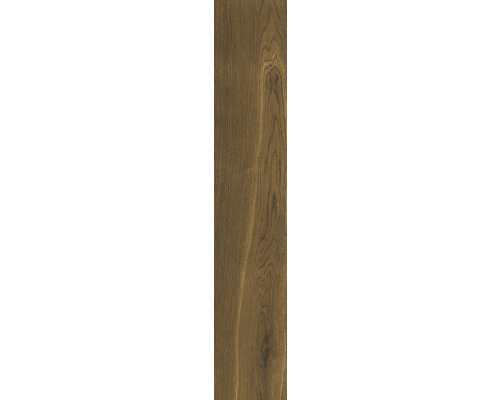 Feinsteinzeug Wand- und Bodenfliese Giornota Marrone 11 x 60 x 0,8 cm matt
