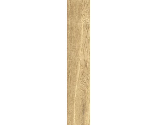Feinsteinzeug Wand- und Bodenfliese Giornota Oro 11 x 60 x 0,8 cm matt