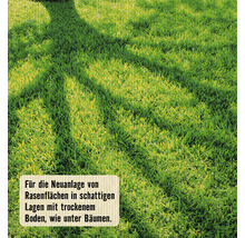 Schattenrasen für Trockenlagen FloraSelf Select 1 kg / 35 m²-thumb-1