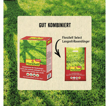 Schattenrasen für Trockenlagen FloraSelf Select 1 kg / 35 m²-thumb-3
