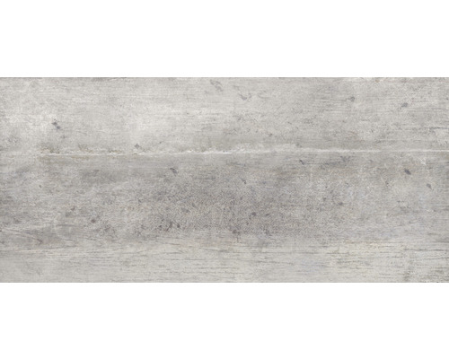 Feinsteinzeug Wand- und Bodenfliese Cassero grau 31 x 62 x 0,8 cm